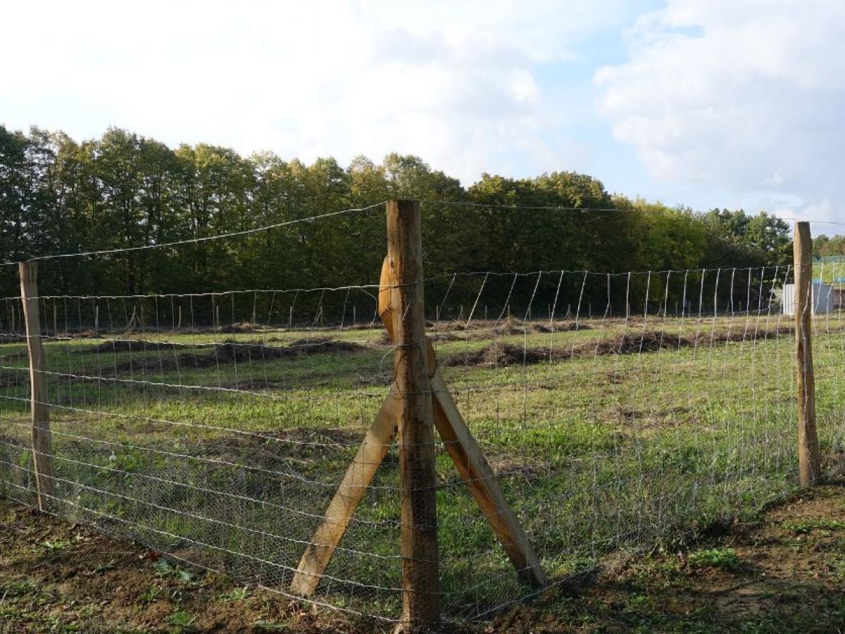 Bâtir sa maison, louer ou vendre comment rentabiliser un terrain